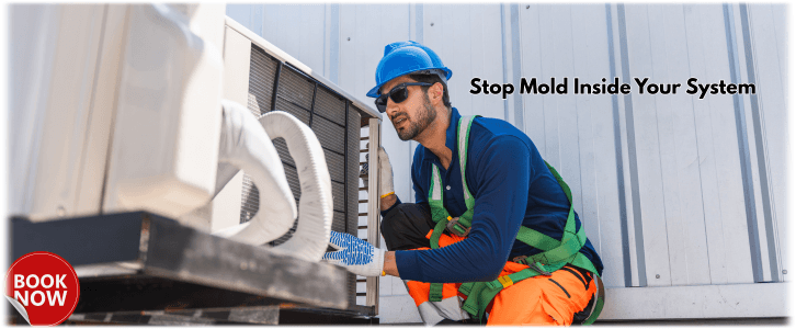 HVAC Mold Removal Conroe TX